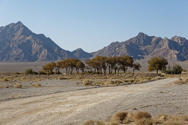 Mehriz-Caravansérail-003