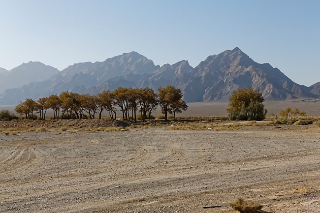 Mehriz-Caravansérail-006