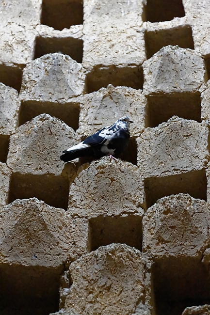 Ispahan-Pigeonnier-014
