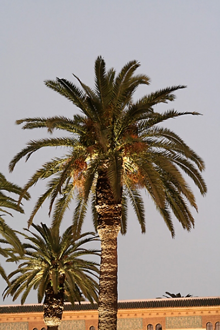 Casablanca-196