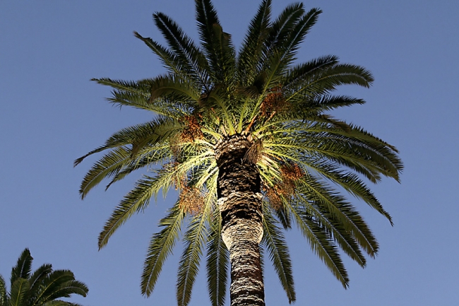 Casablanca-200