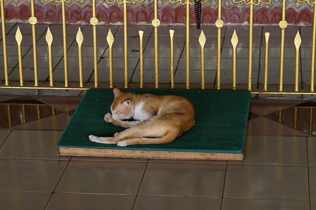 Yangon-Kyauktawgyi-011