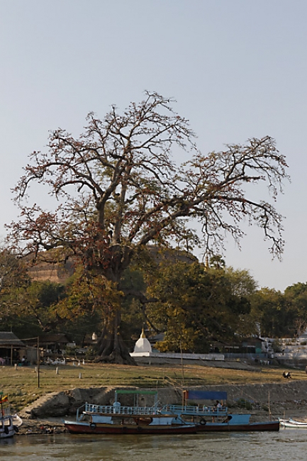Mandalay-Mingun-026