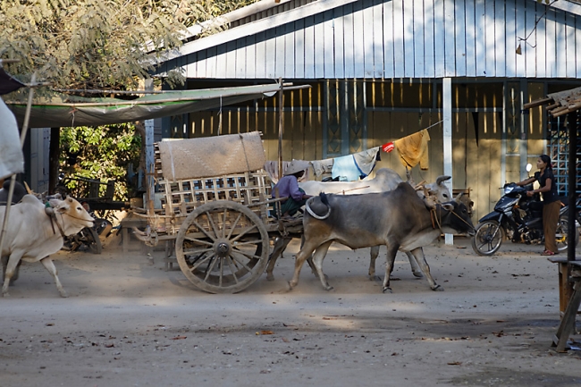 Mandalay-Mingun-052