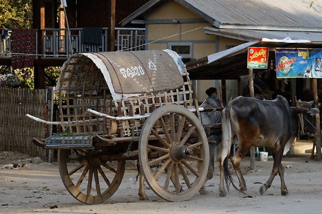 Mandalay-Mingun-055
