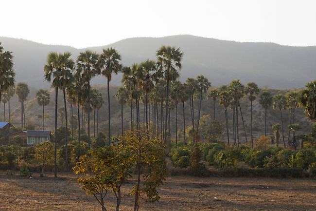 Mandalay-Mingun-077