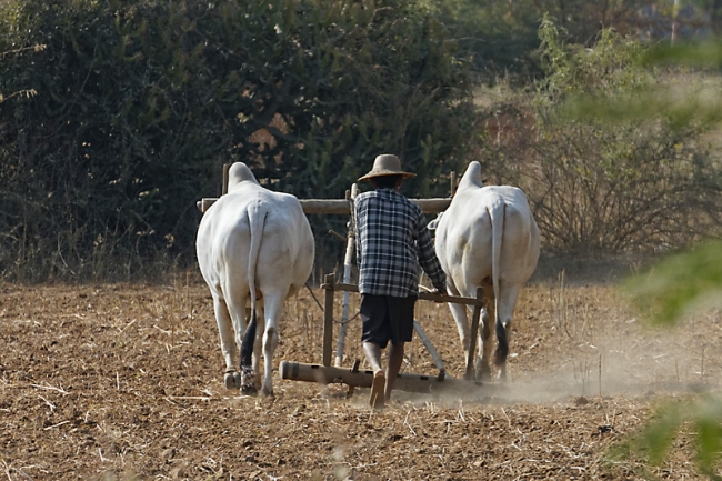 Pagan-Upalithein-001