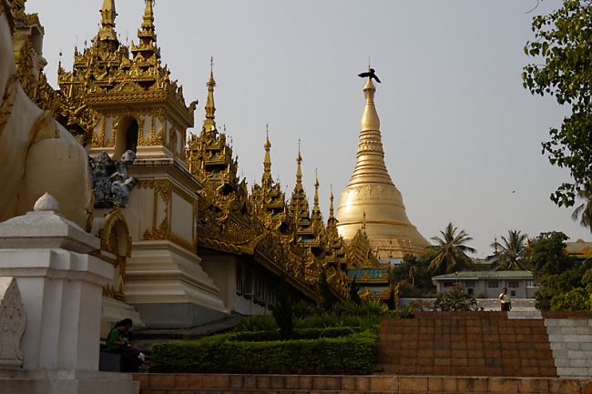 Yangon-Shwedagon-004