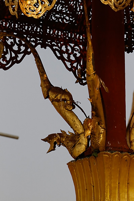 Yangon-Shwedagon-081