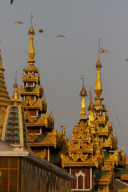 Yangon-Shwedagon-100