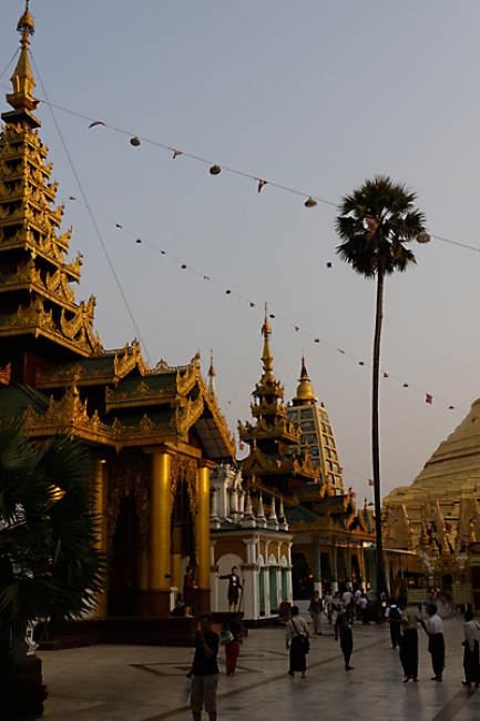 Yangon-Shwedagon-147