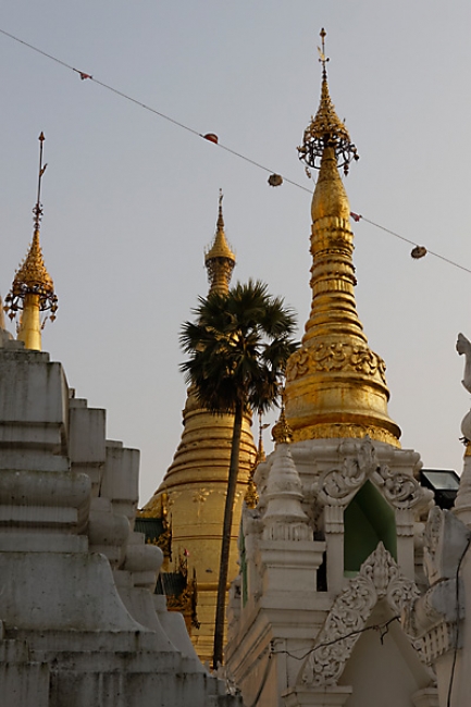 Yangon-Shwedagon-153