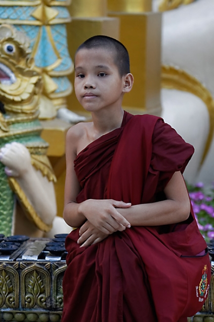 Yangon-Shwedagon-218