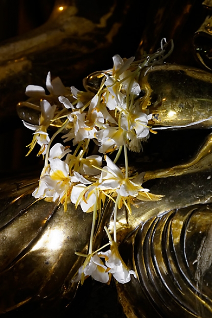 Yangon-Shwedagon-293