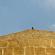 Ballade dans Khiva-065