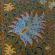 Sitora-i-Mokhi Khossa-063