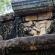 Polonnaruwa-006