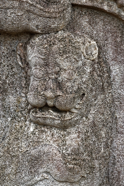 Polonnaruwa-095