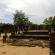 Polonnaruwa-123