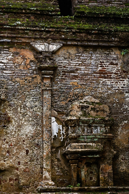 Polonnaruwa-141