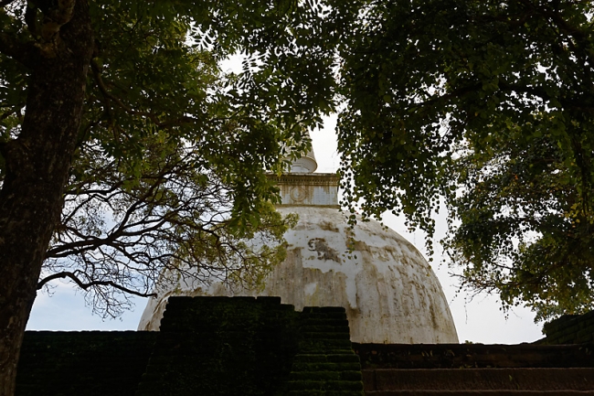 Polonnaruwa-174