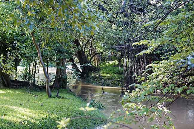 Sigiriya-001