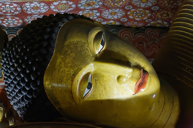 Dambulla-047