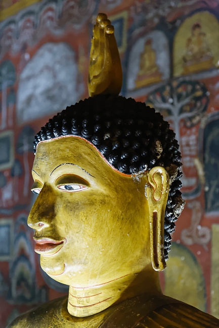 Dambulla-078