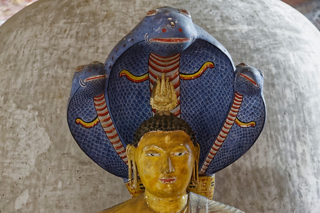 Dambulla-105
