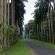 Kandy-Botanical garden-047