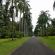 Kandy-Botanical garden-049