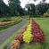 Kandy-Botanical garden-093