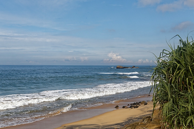 Galle-018