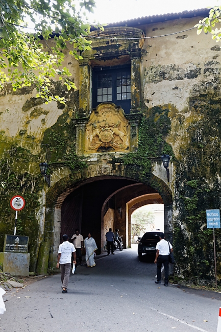 Galle-042