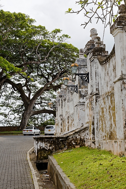 Galle-077