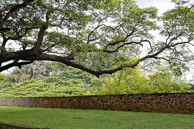 Galle-080