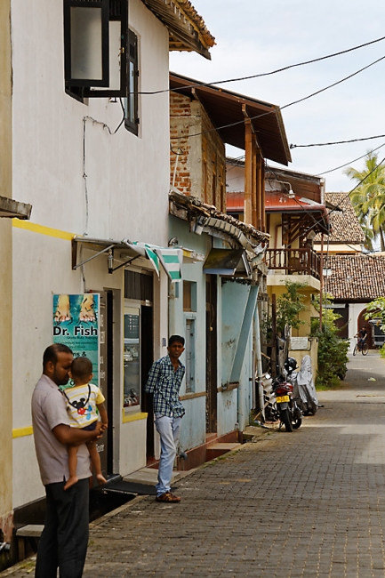 Galle-094