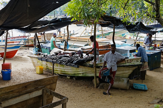 Galle-125