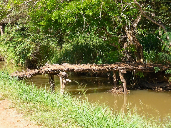 Sigiriya-Laurent-008