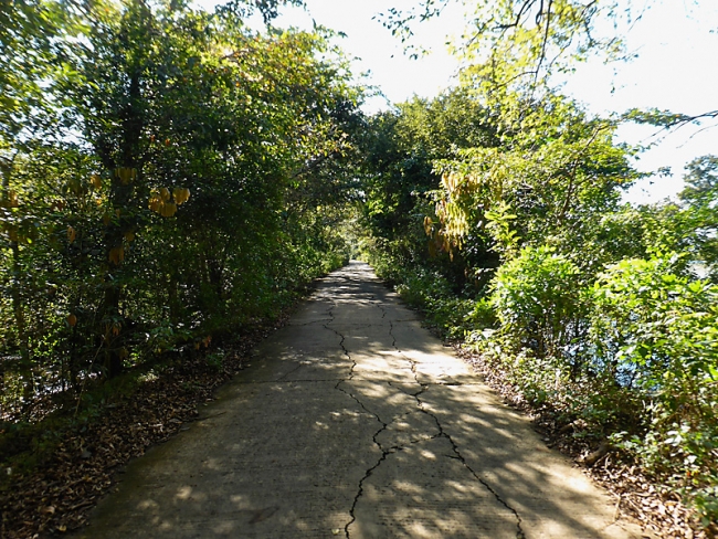 Sigiriya-Laurent-011