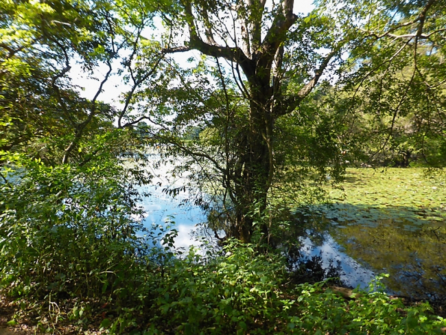 Sigiriya-Laurent-012
