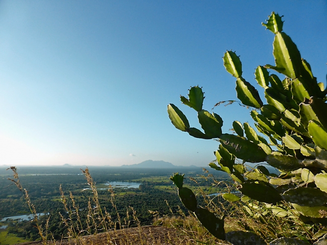 Sigiriya-Laurent-073