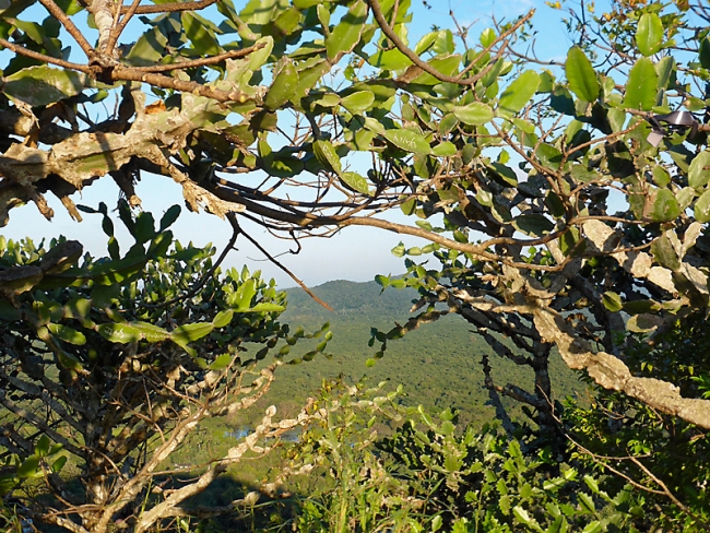 Sigiriya-Laurent-076