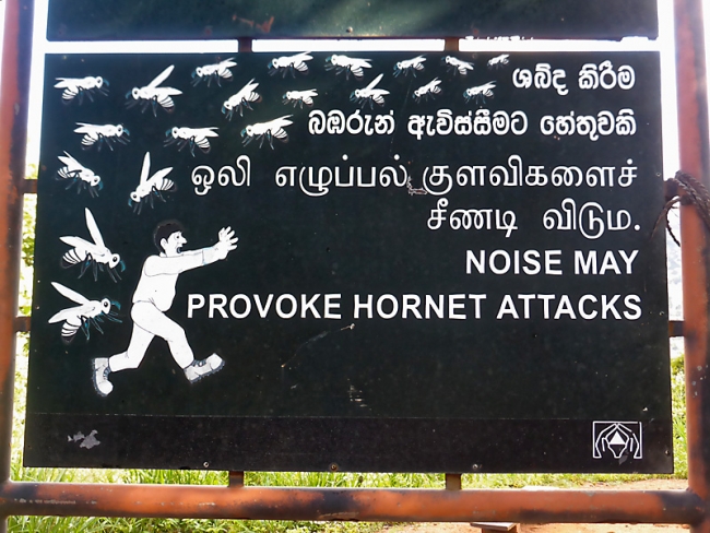 Sigiriya-Laurent-089