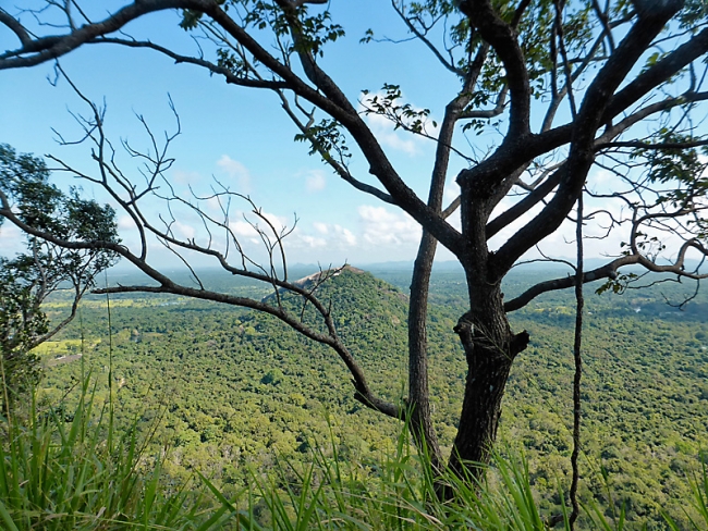 Sigiriya-Laurent-124