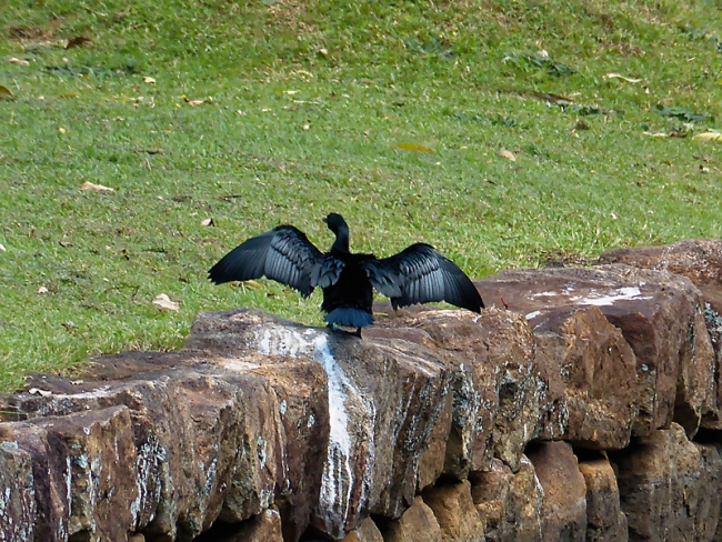 Sigiriya-Laurent-154