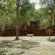 Wat Pa Mud-001