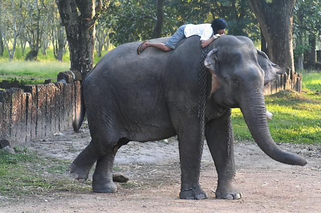 07-Si-Satchanalai-051