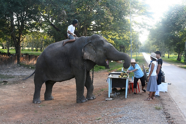 07-Si-Satchanalai-052