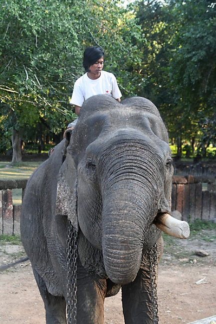07-Si-Satchanalai-053
